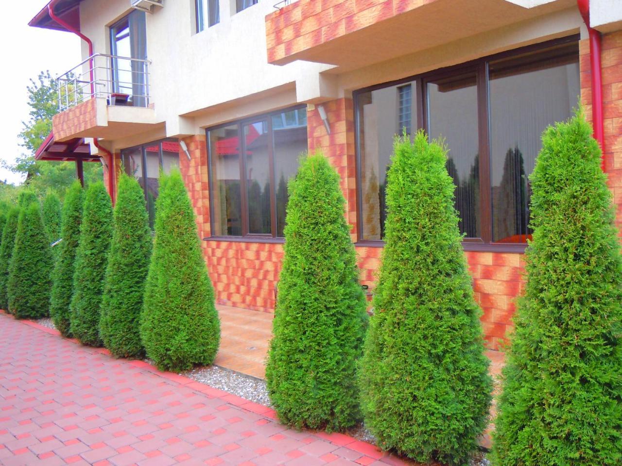 Pensiunea Marina กัมปีนา ภายนอก รูปภาพ